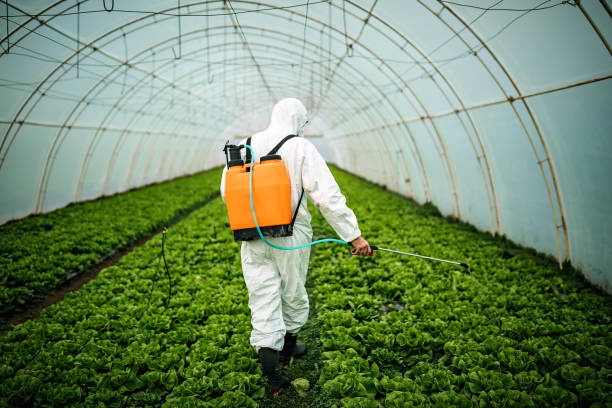 Best Pest Prevention Services  in Middletown, CA