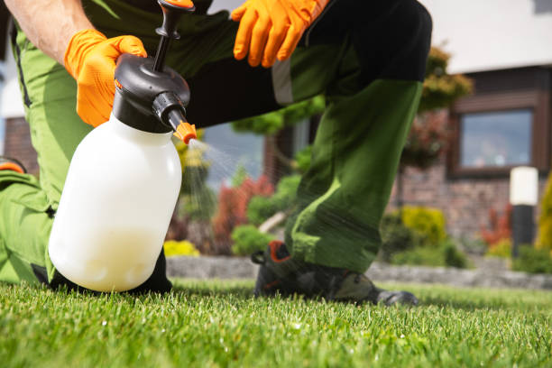 Pest Prevention Services in Middletown, CA