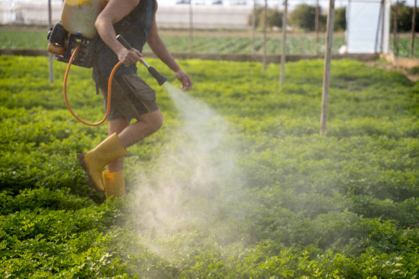 Best Emergency Pest Control  in Middletown, CA
