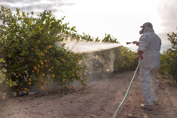 Best Pest Inspection Near Me  in Middletown, CA