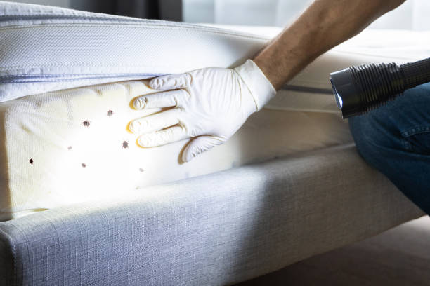 Best Pest Control Near Me  in Middletown, CA