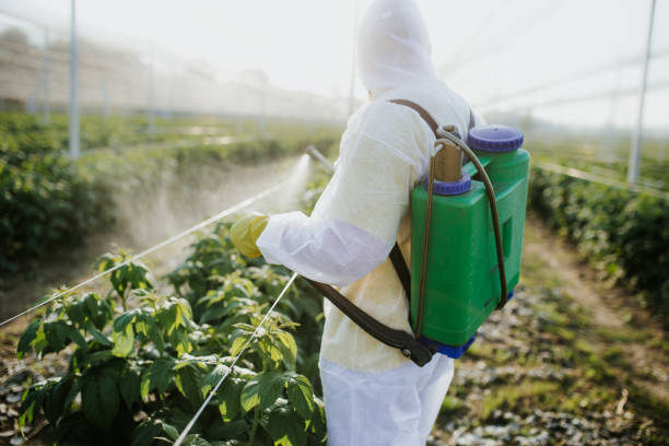 Best Residential Pest Control  in Middletown, CA